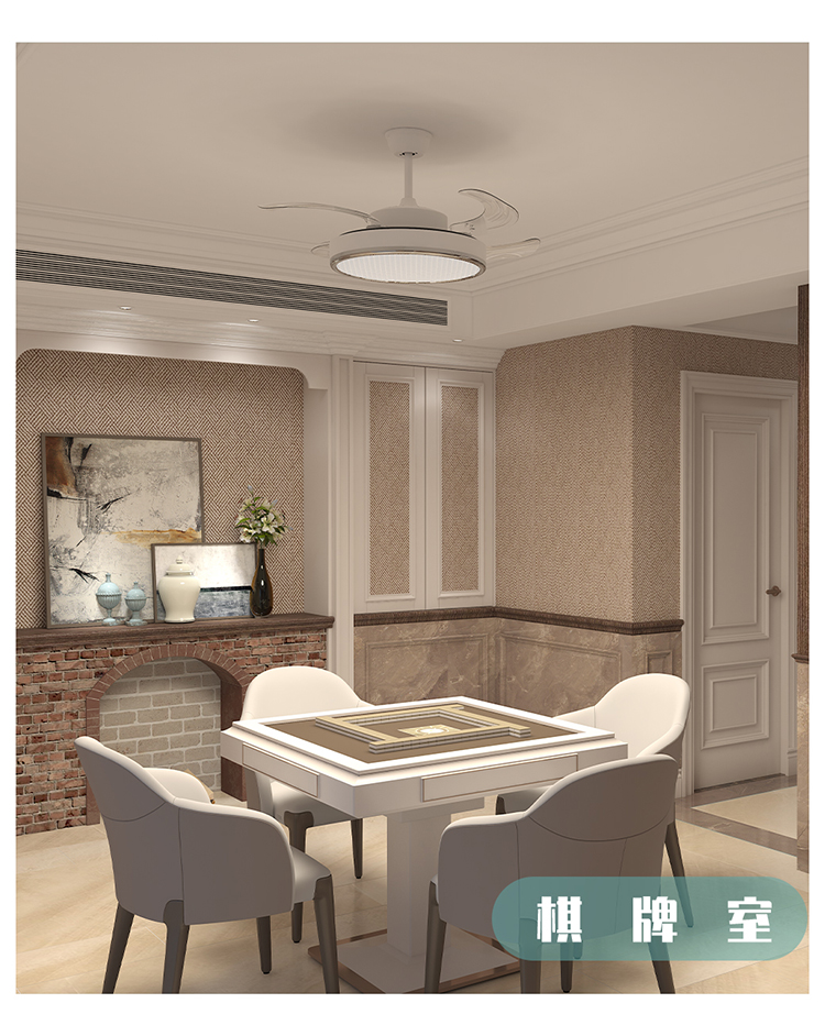 教育风扇灯白(图23)