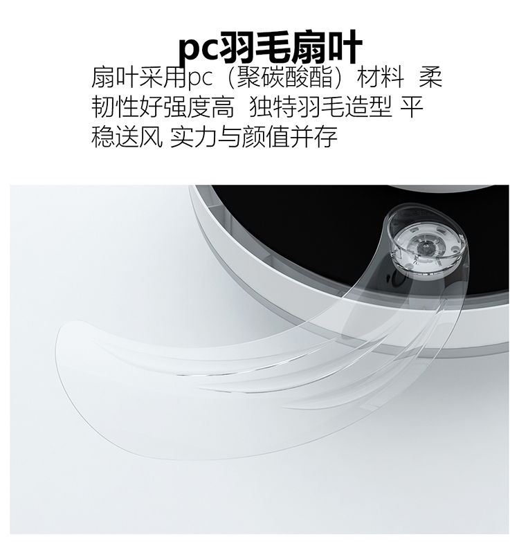 教育风扇灯白(图18)