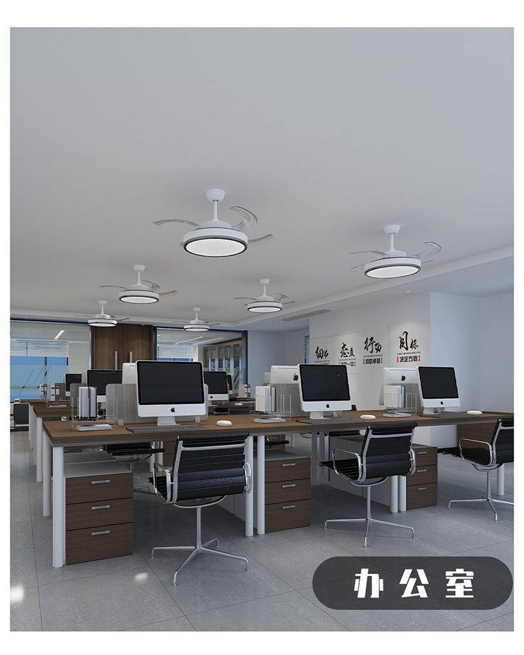 教育风扇灯白(图22)