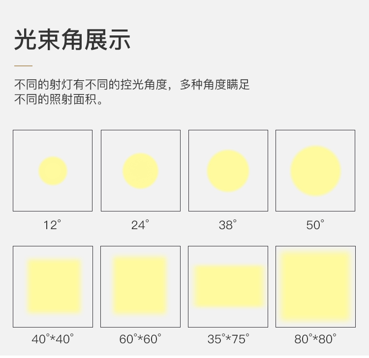 ZG-3839透镜(图9)