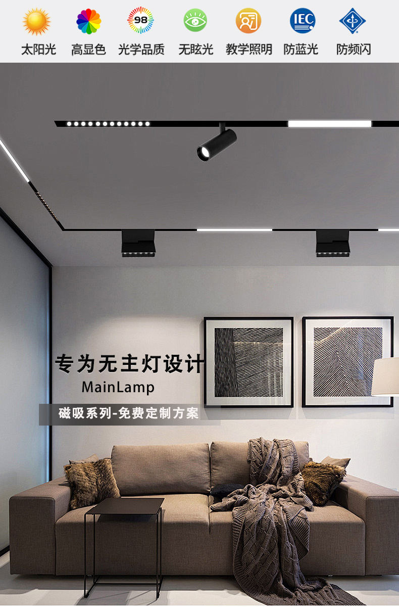 LED无主灯智能家用嵌入式暗装明装客厅照明预埋黑色48V 磁吸轨道灯(图1)